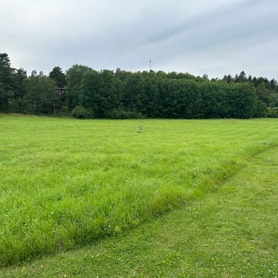 Alternativa tee mot 2 korgar.