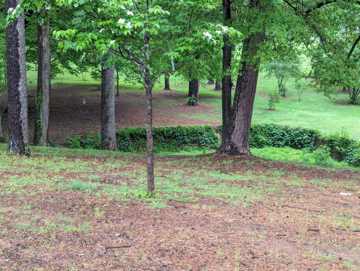 Side angle looking at hole 2 fairway into the circle