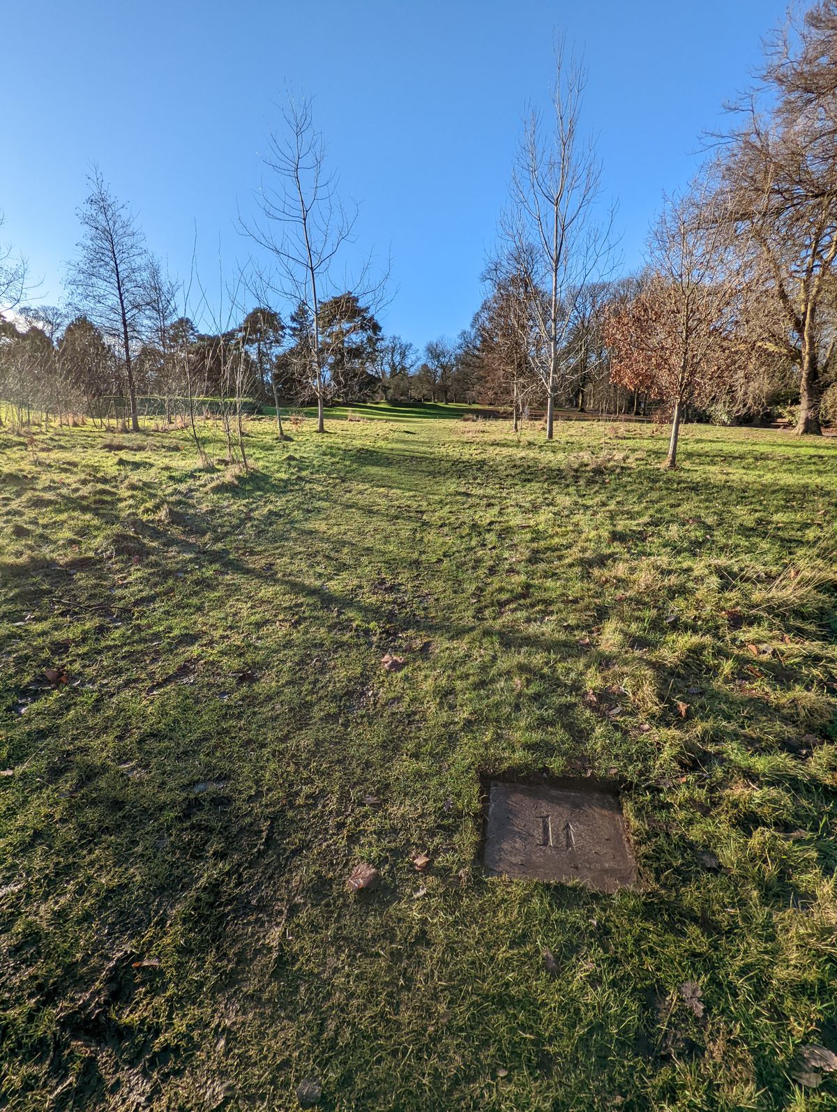 Tee 1 up the hill.