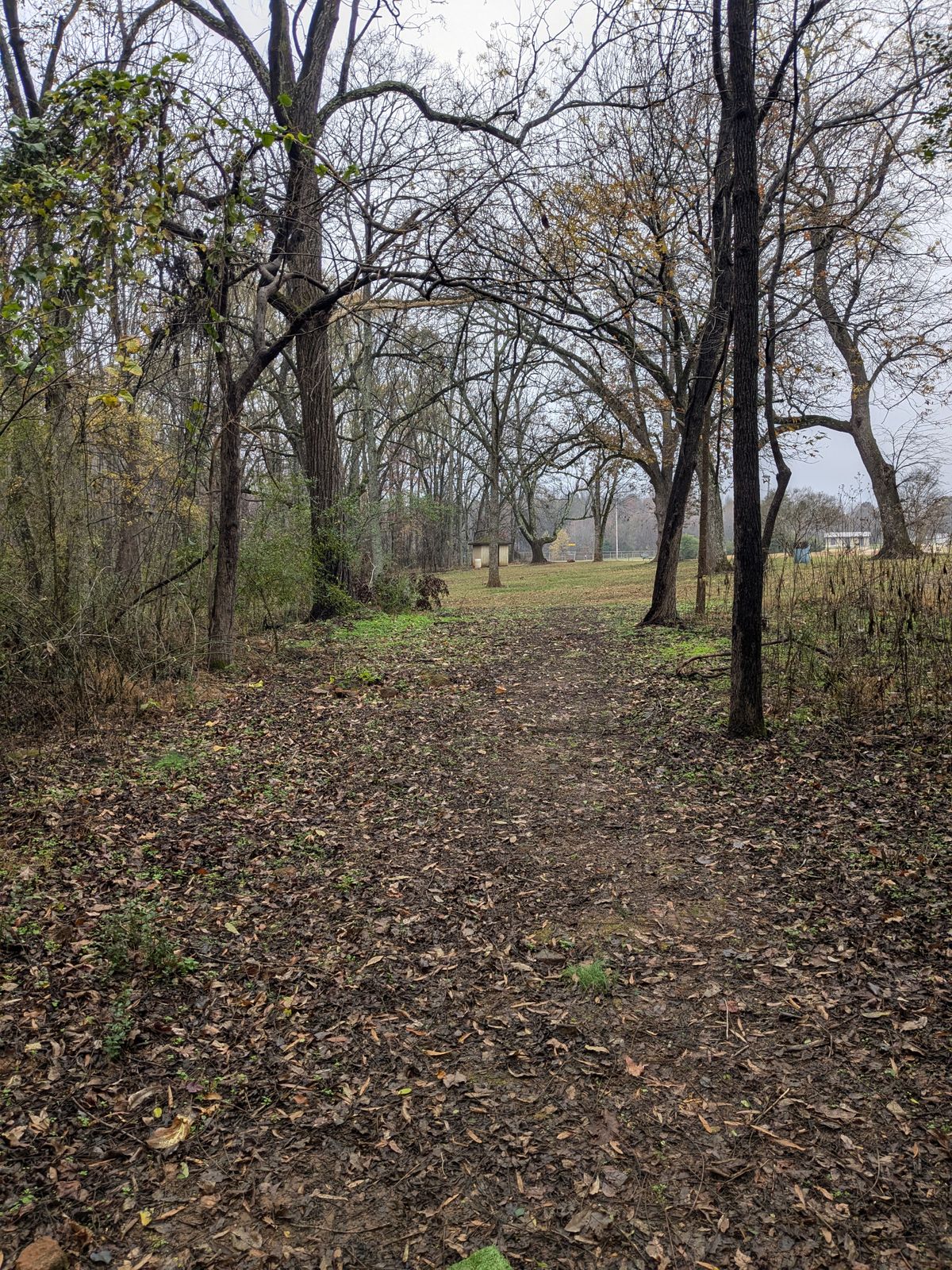 Hole 7