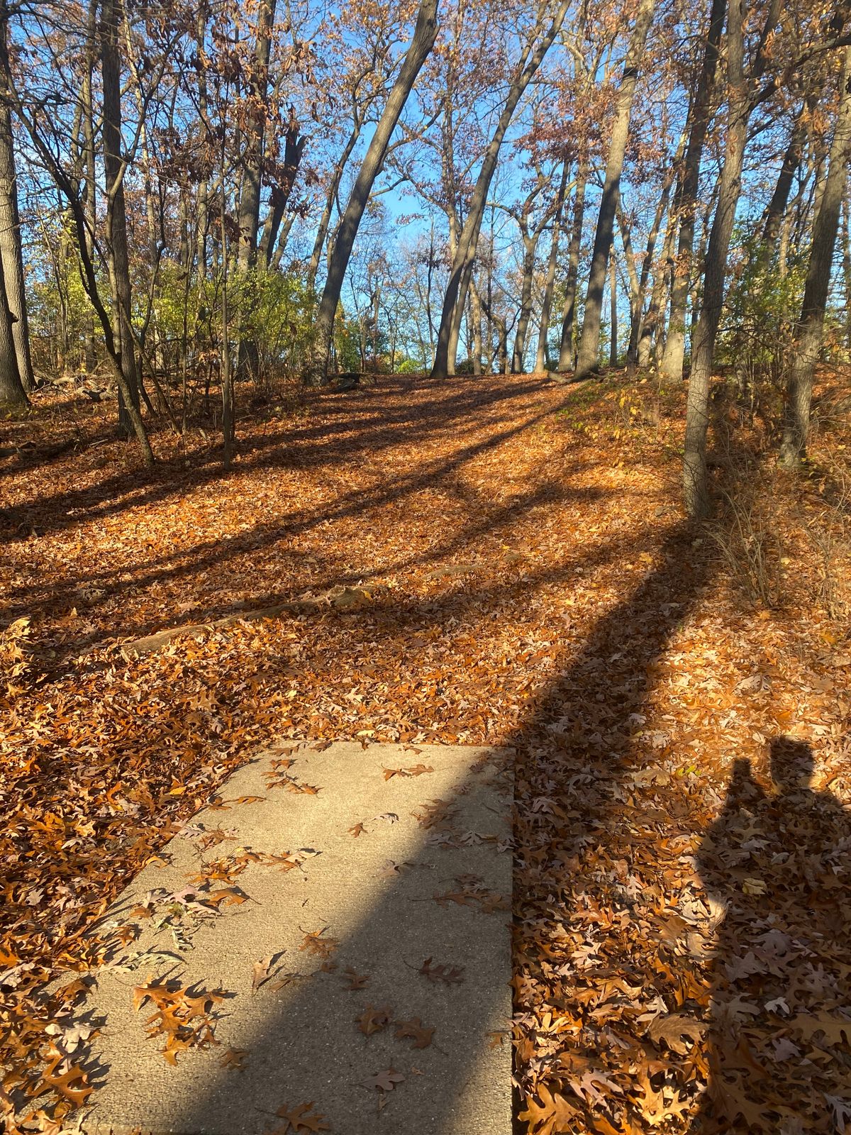 Hole 16 Tee Pad