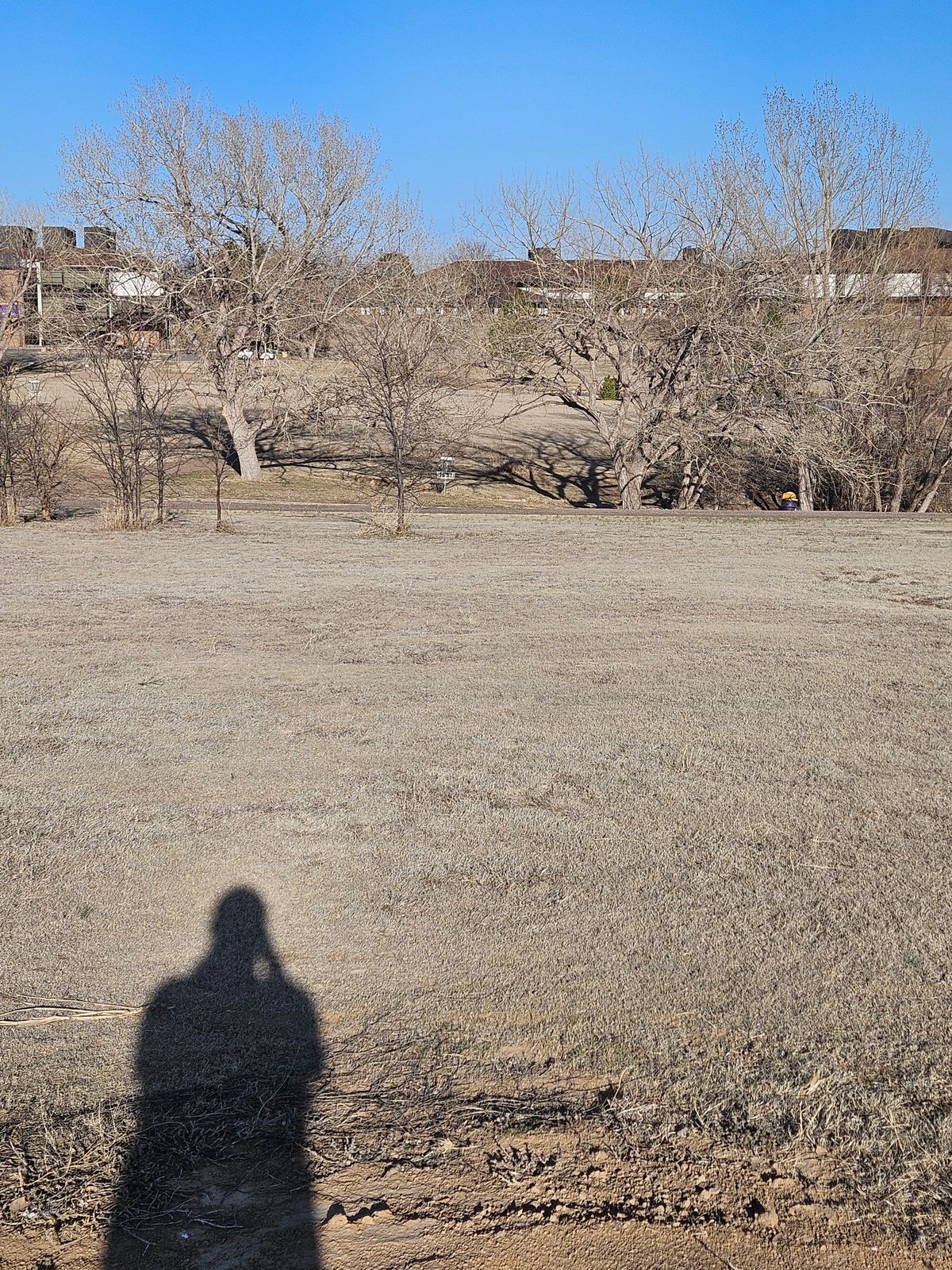 Standing on tee #4