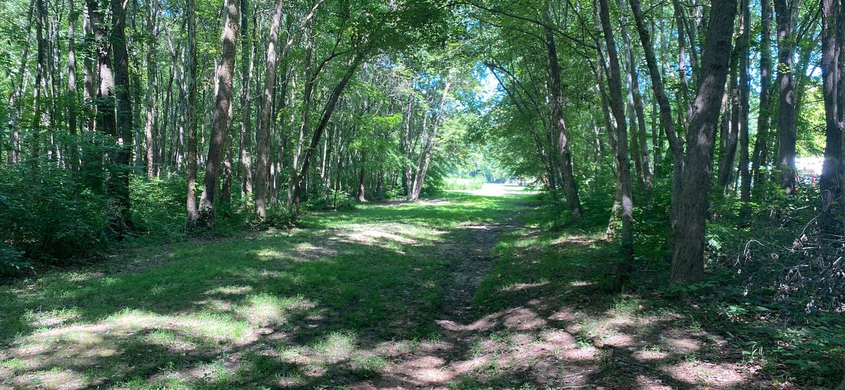 2 fairway