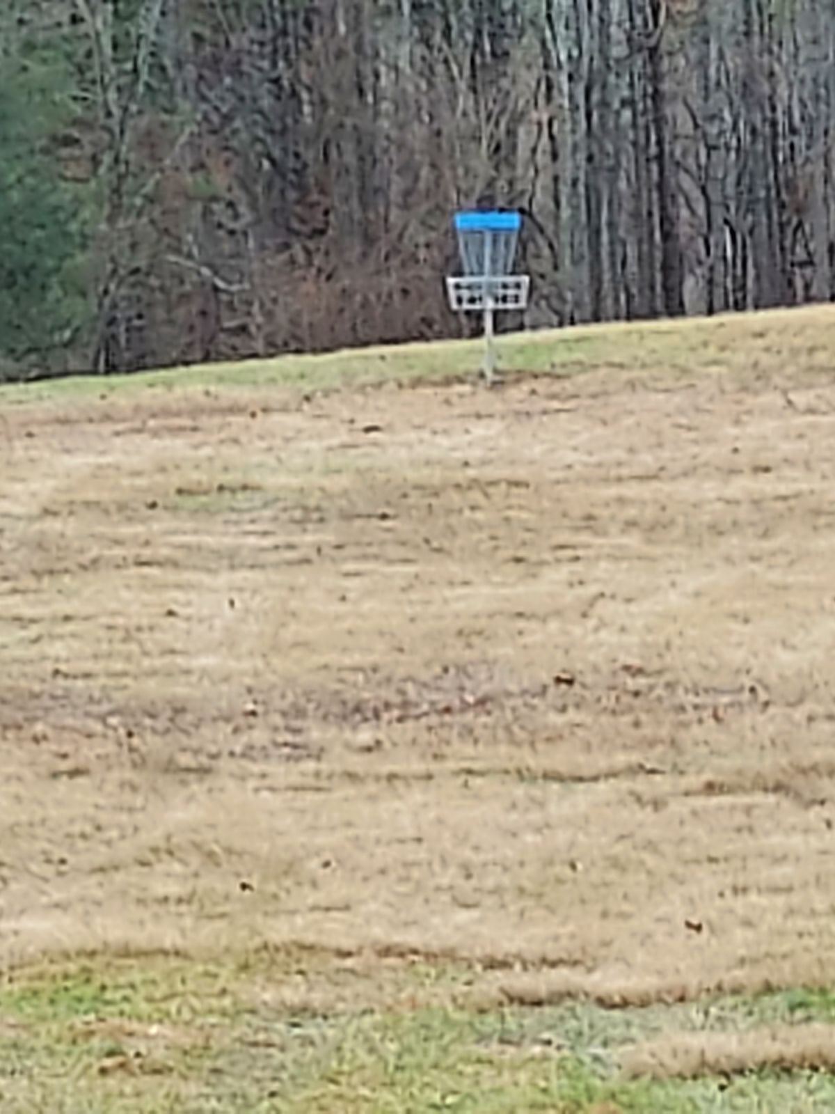New basket on hole 5
