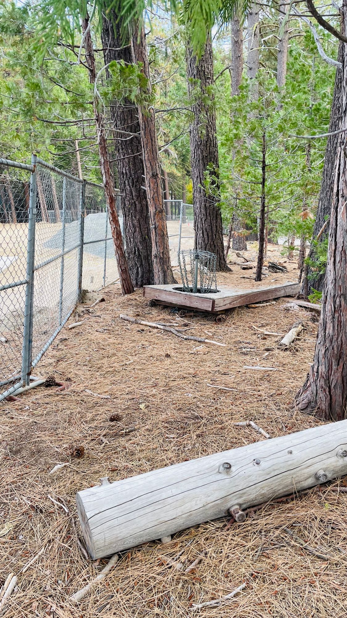 Basket for 18 is in a junk pile. Half buried.
