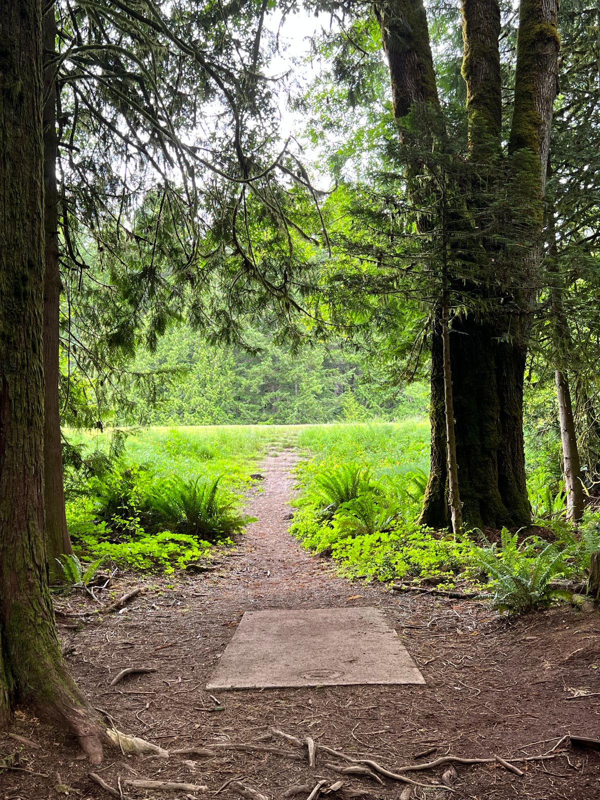 Hole 2 Tee Pad