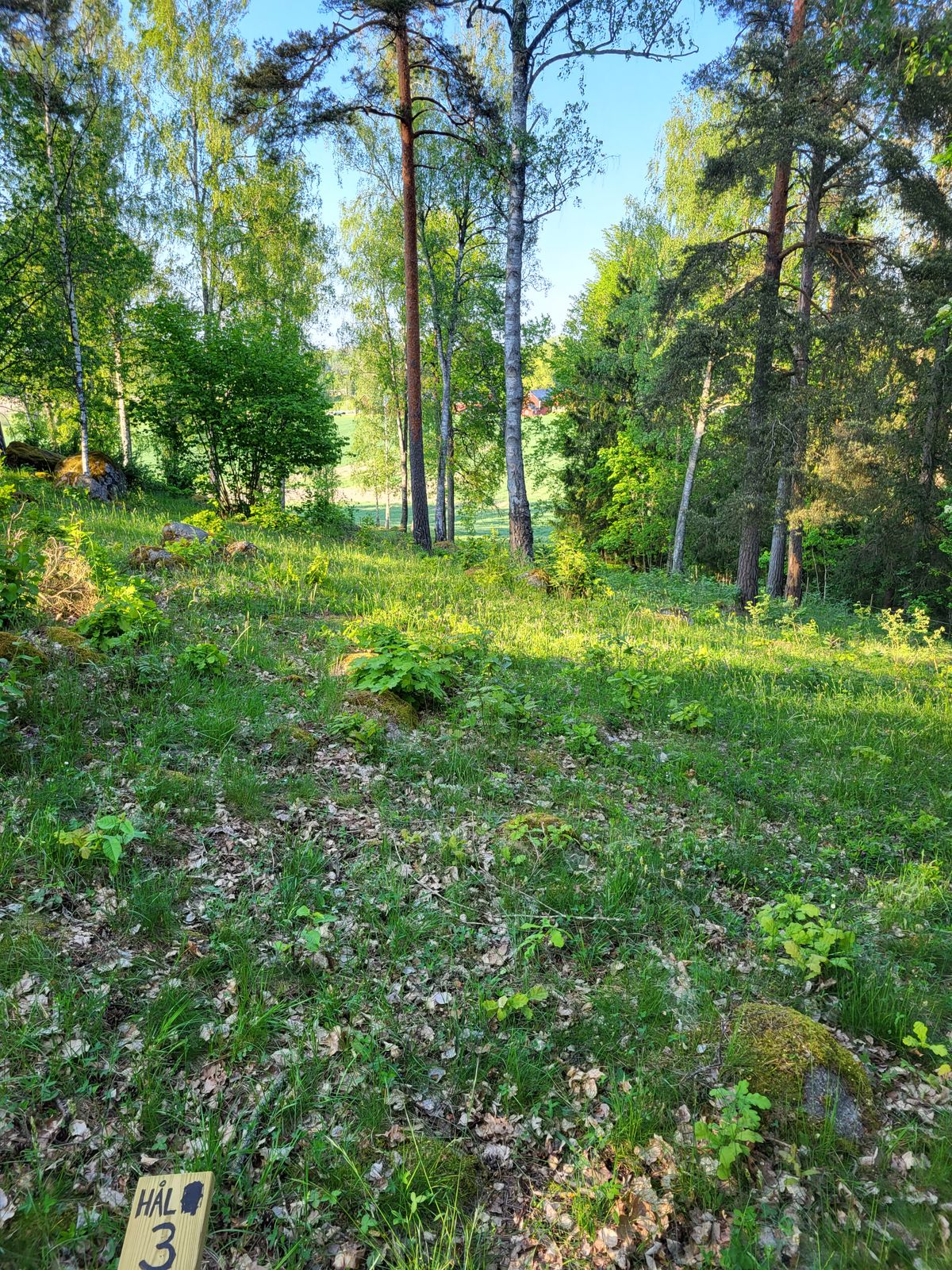 Hål 3