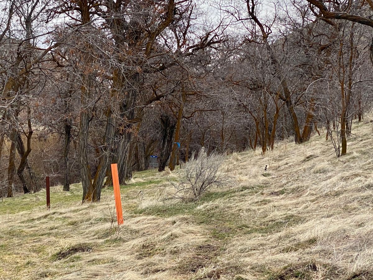 13-15 have woods to navigate