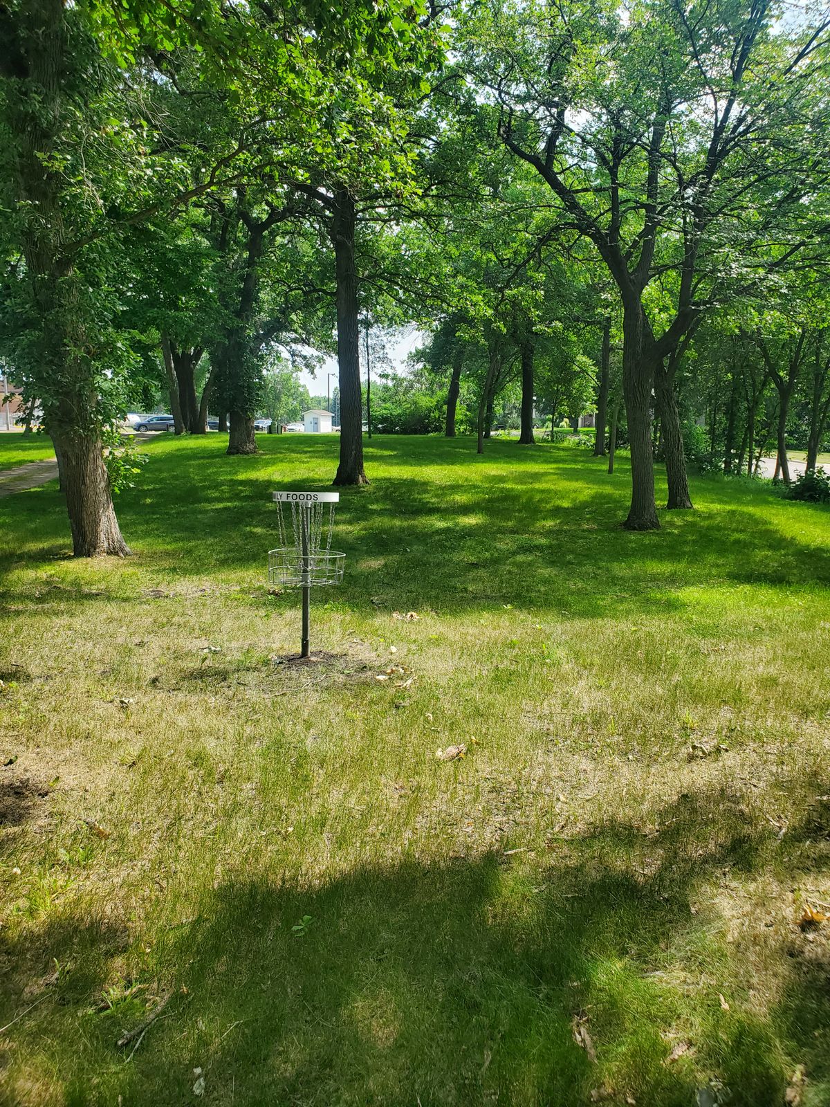 Hole 5!