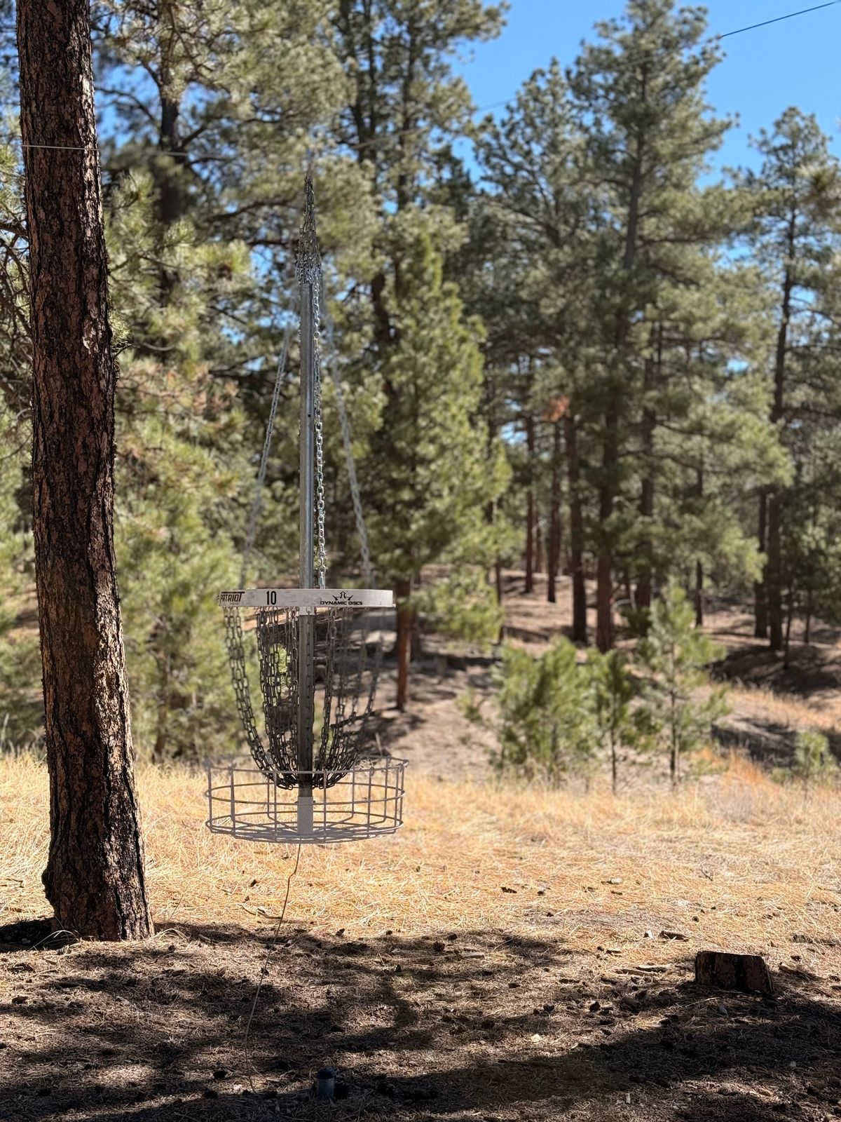 Hole 10 Hanging Basket