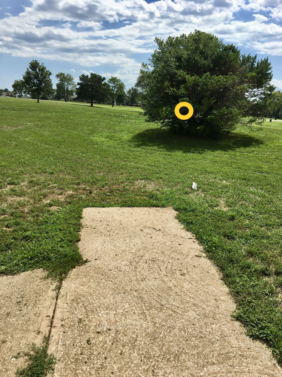 Hole 9 Tee