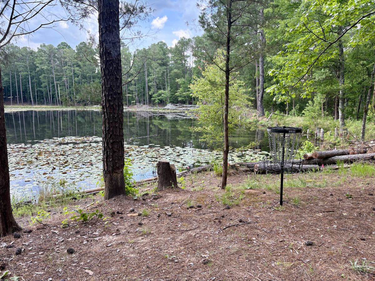 Hole 12 Basket