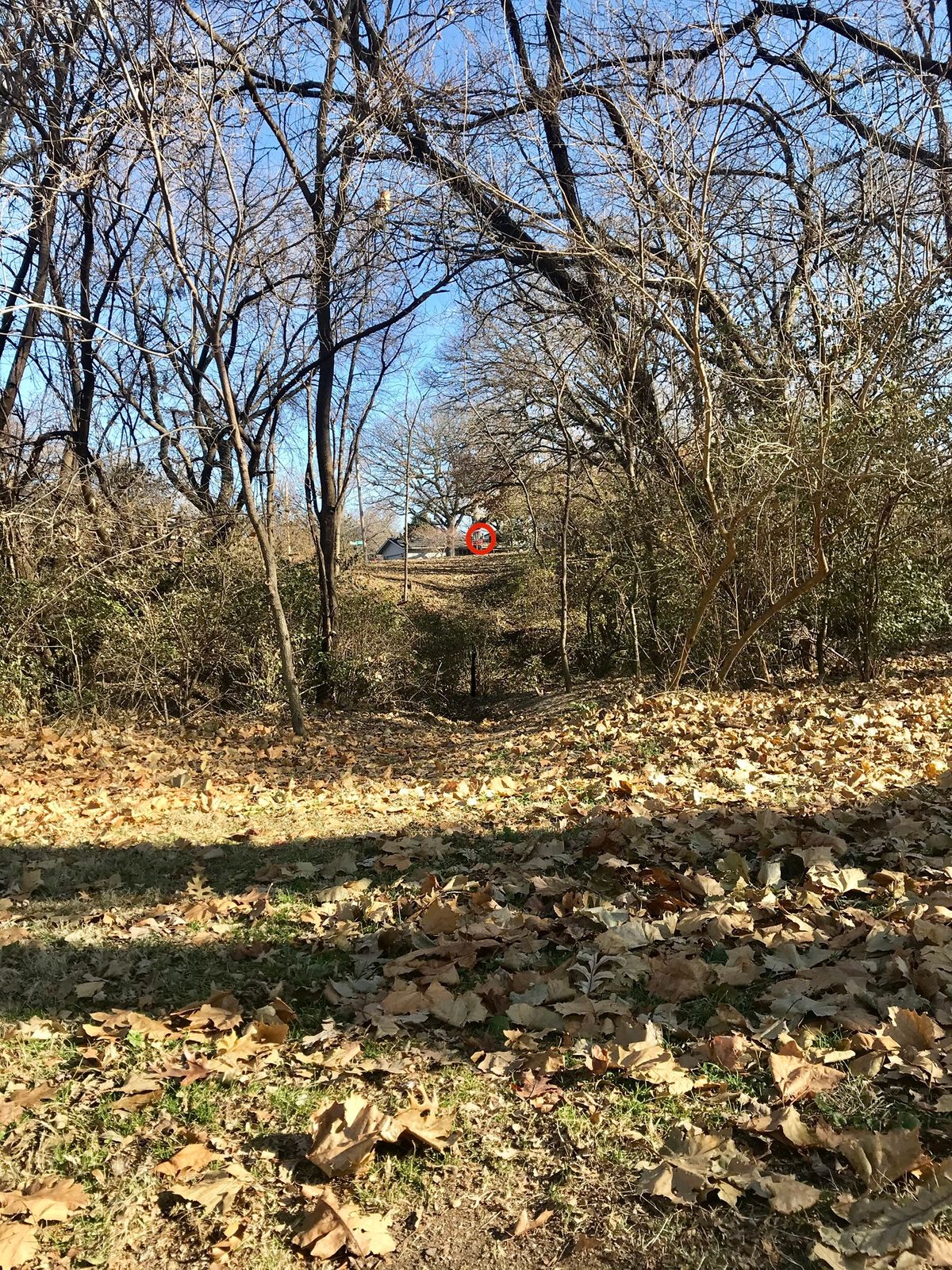 Hole 2 Tee