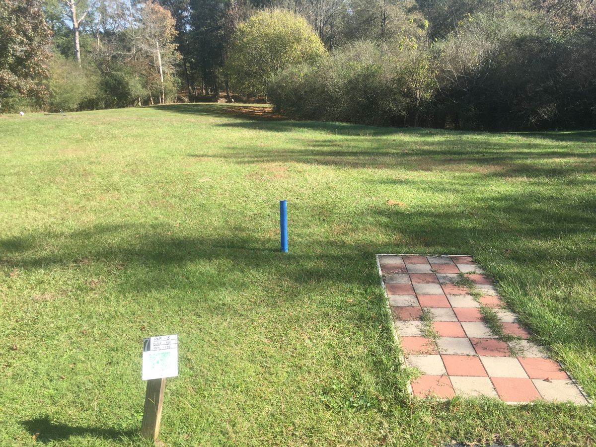 Hole 7 Tee
(Pond behind the trees on the left, extending in front of the basket)