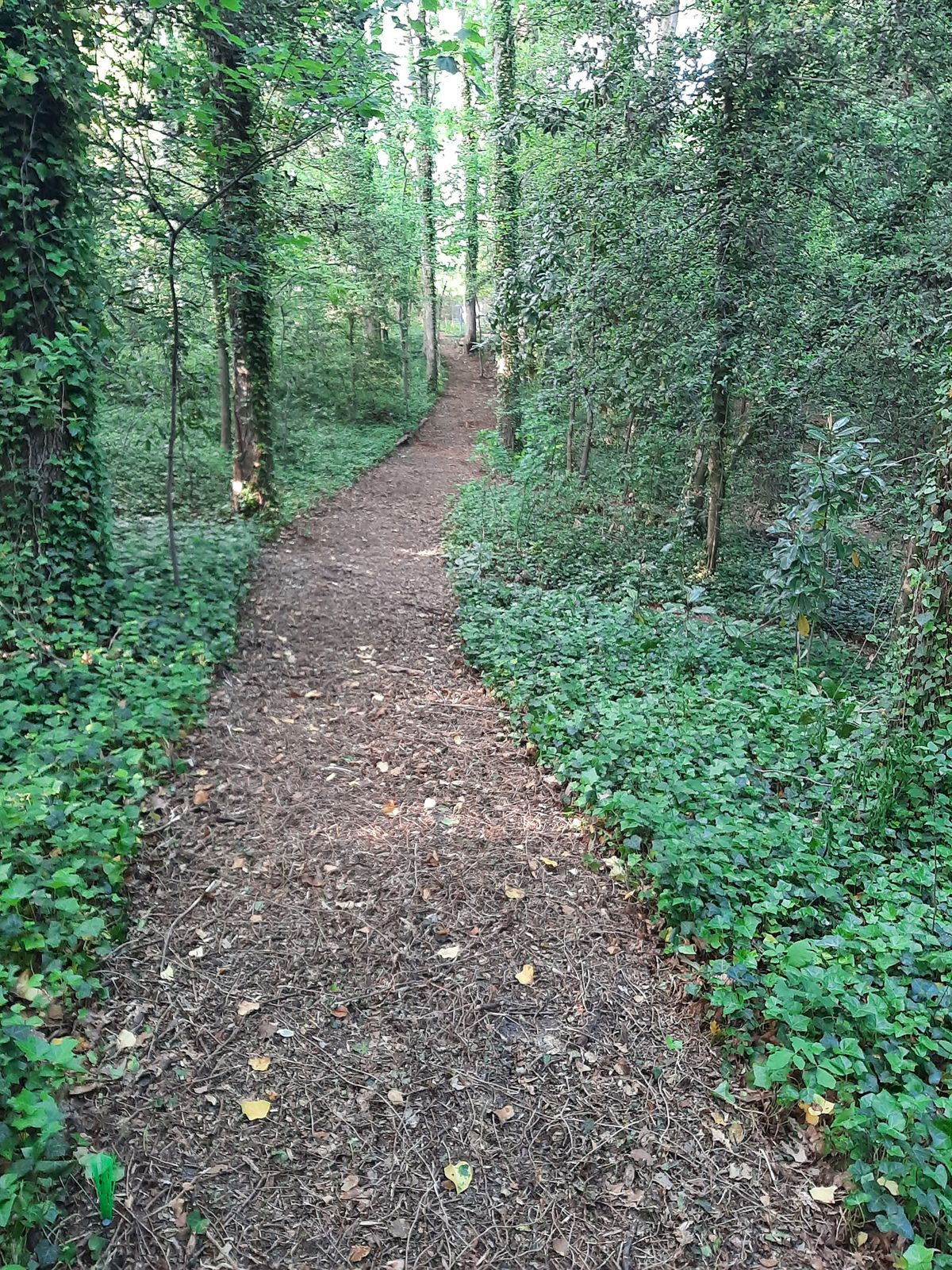 Hole 18 Gold Tee