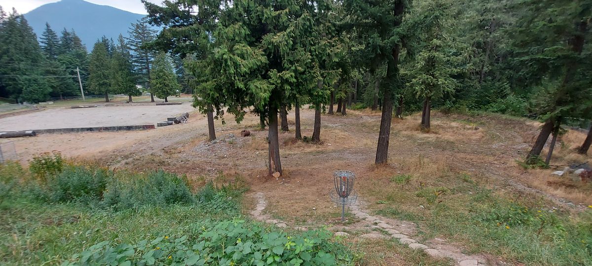 Reverse back up the fairway on hole 9.🍀🌿🍀🌿