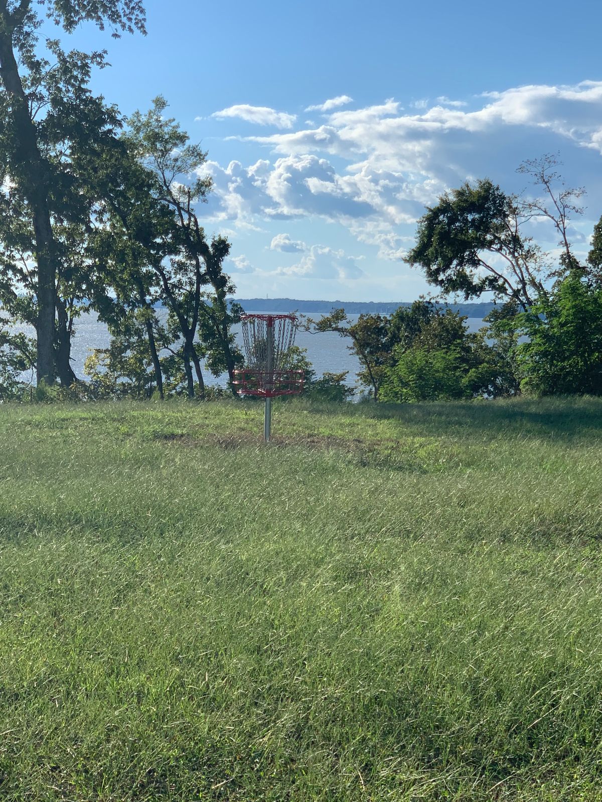 Hole 14 basket