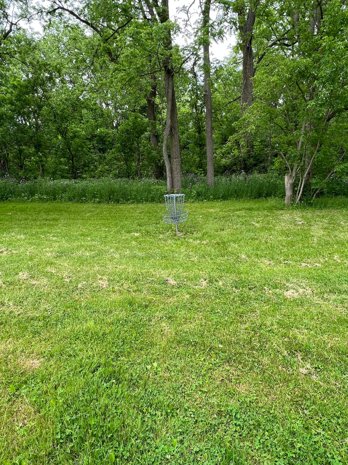Hole 3 basket
