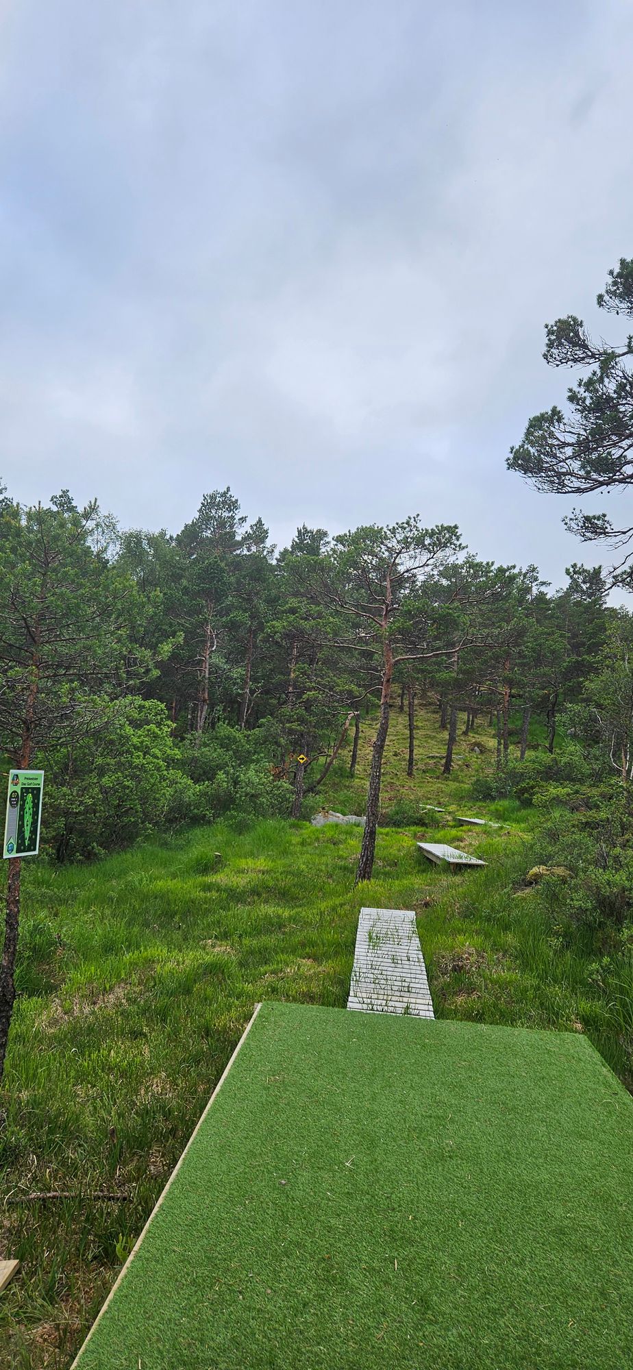 Hole 7