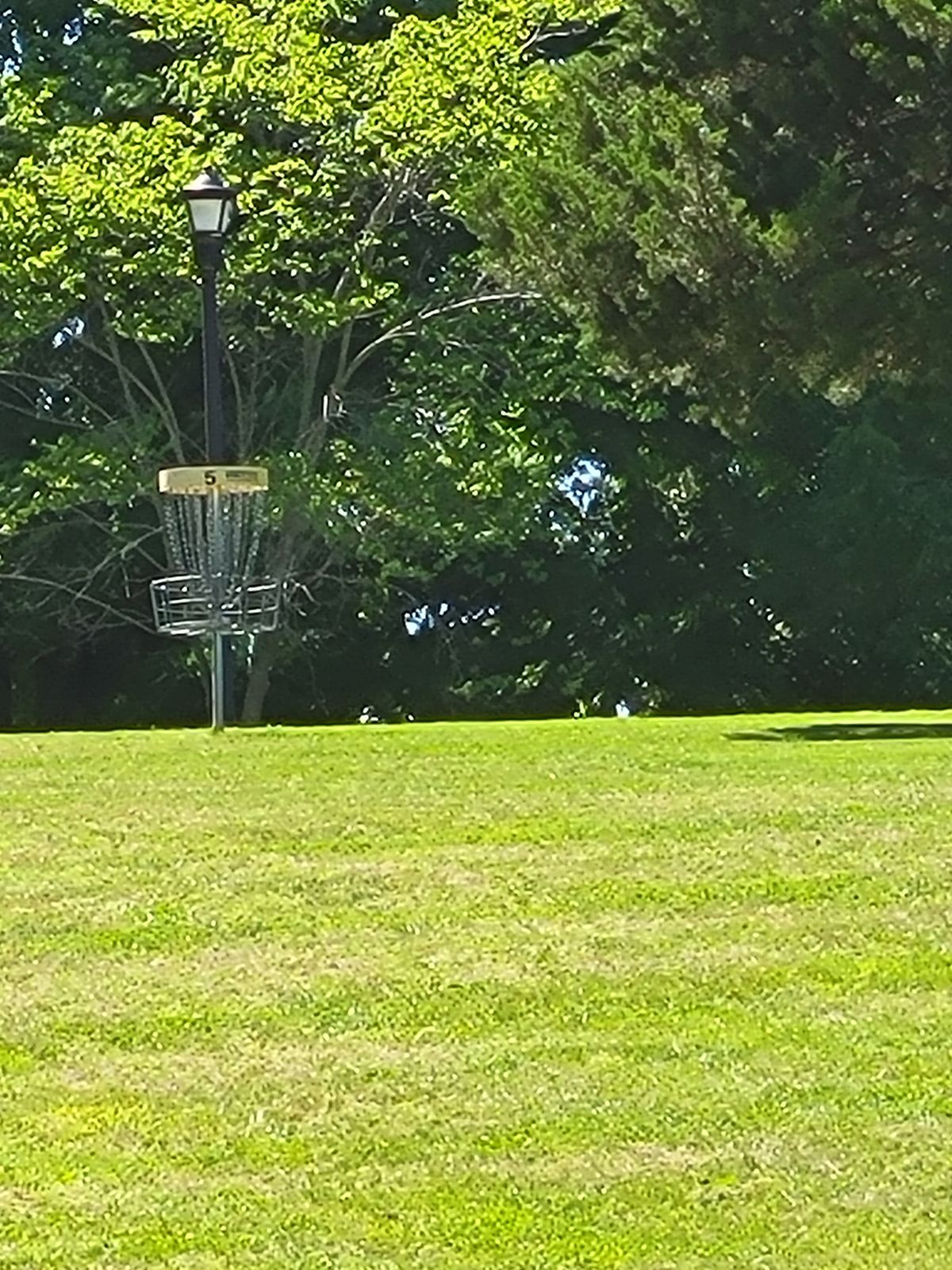 5 basket.