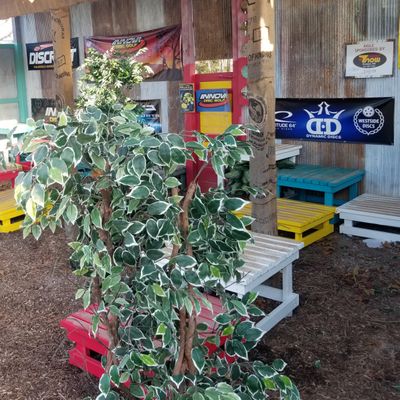 Treehouz putting park!