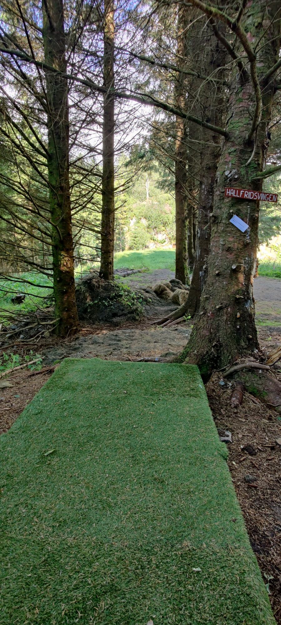Tee hole 2