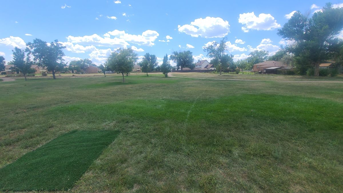 Hoke 3 new fairway