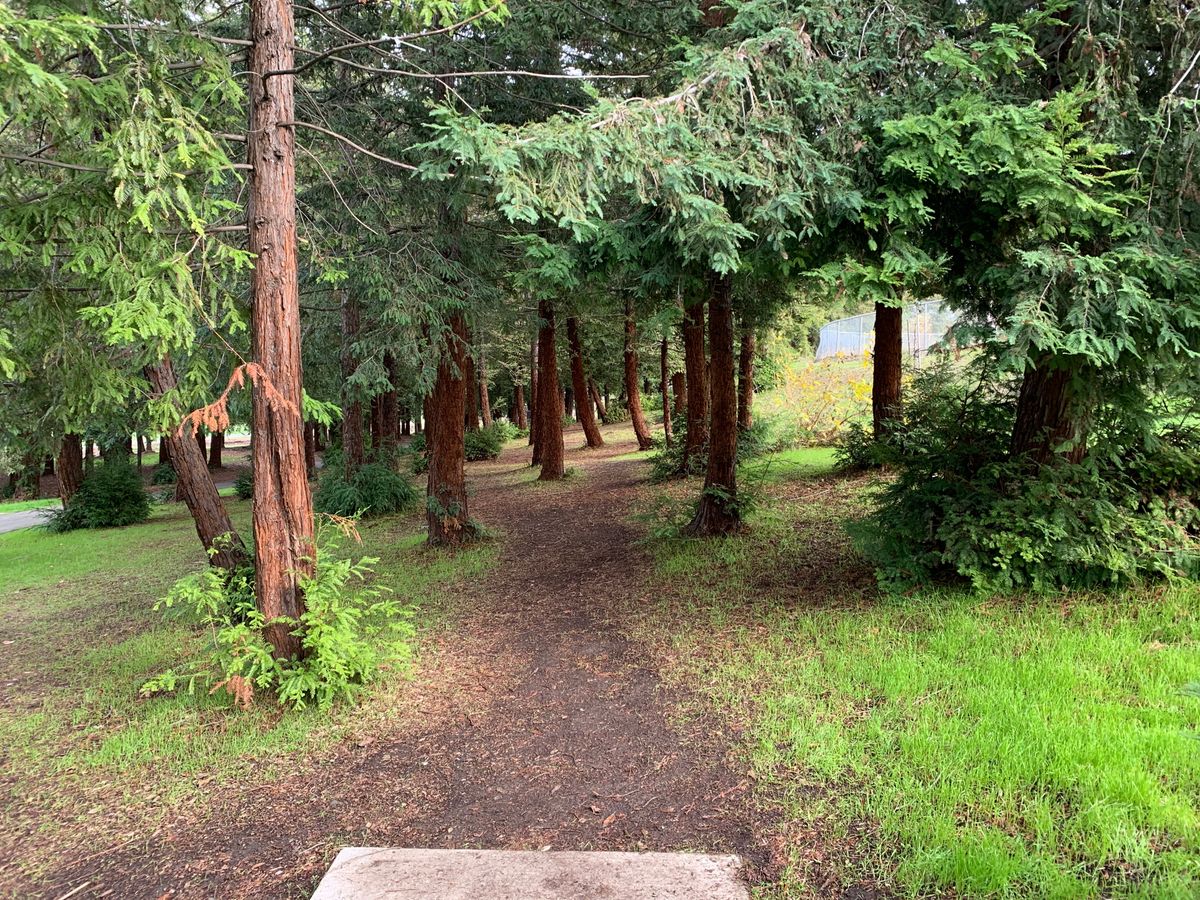 This hole looks entirely different as of 5/2023 because of trees being cut down.