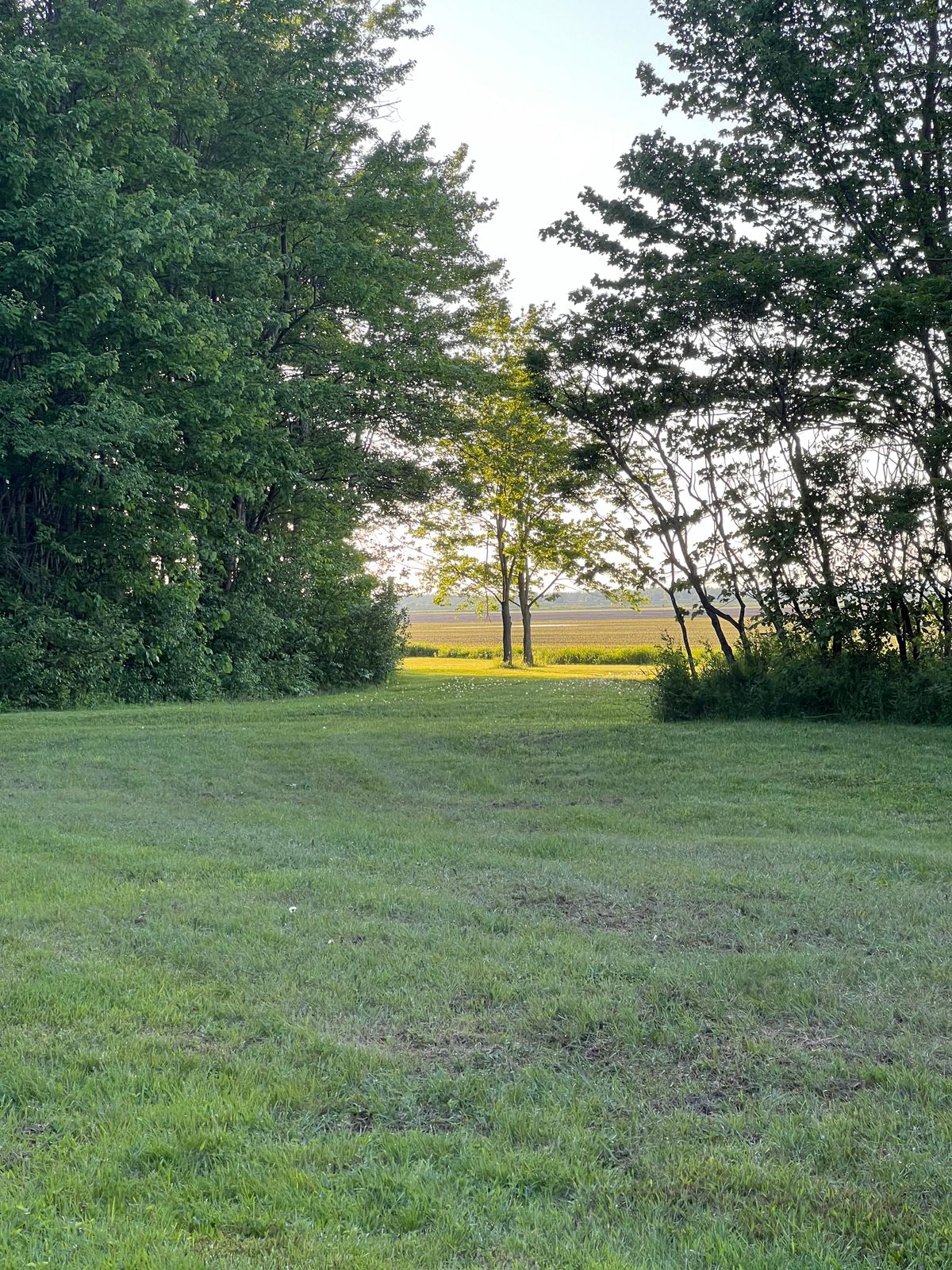 Hole 8