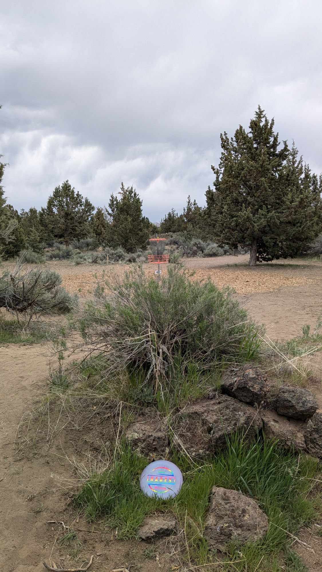 Hole 14