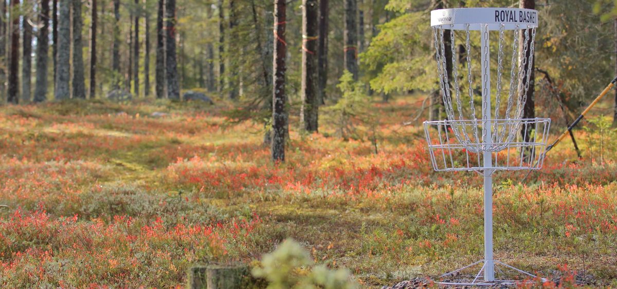 Korg på bana 2.
Oktober 2021.