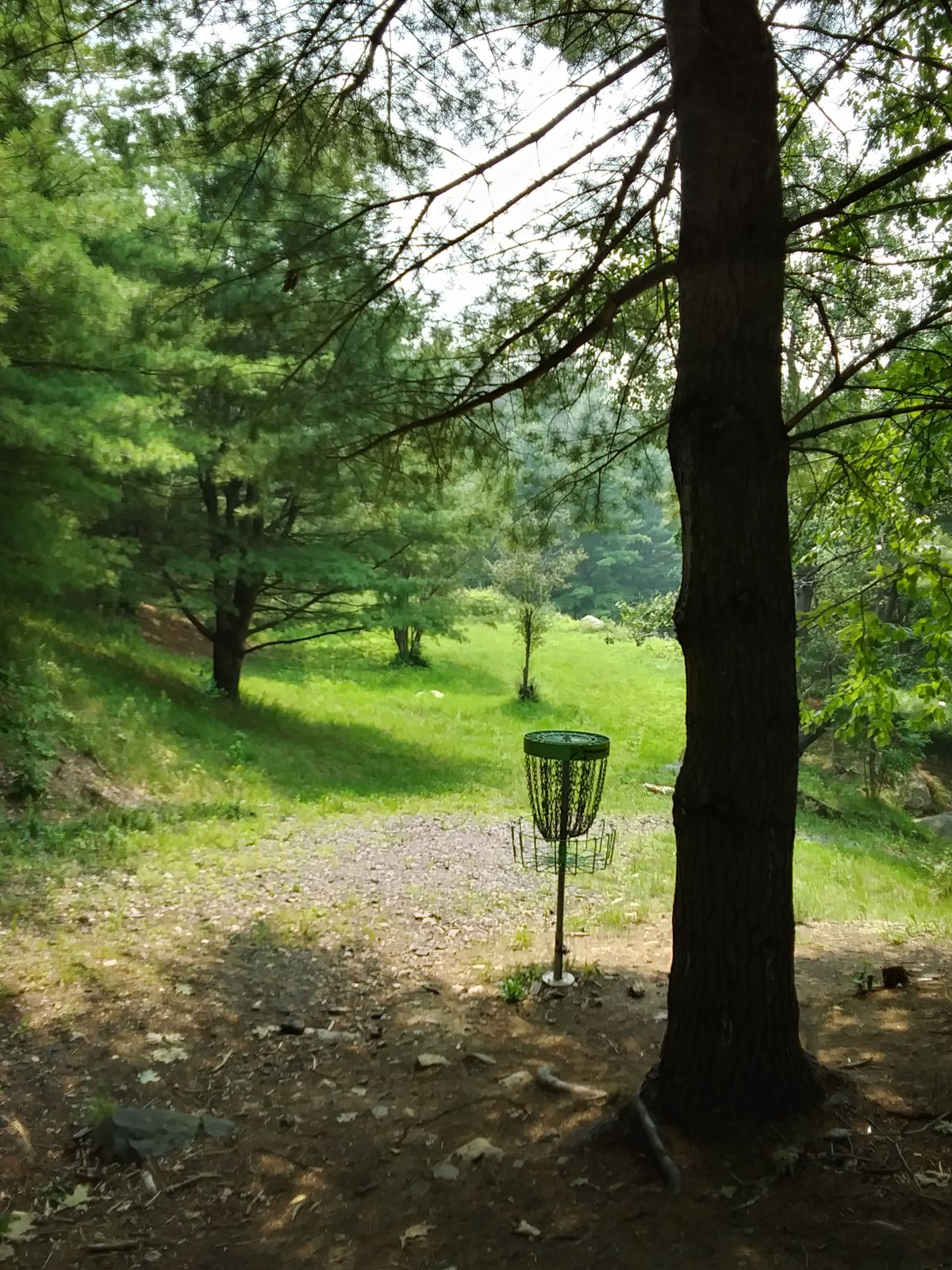 Hole 8 basket, looking back at fairway.