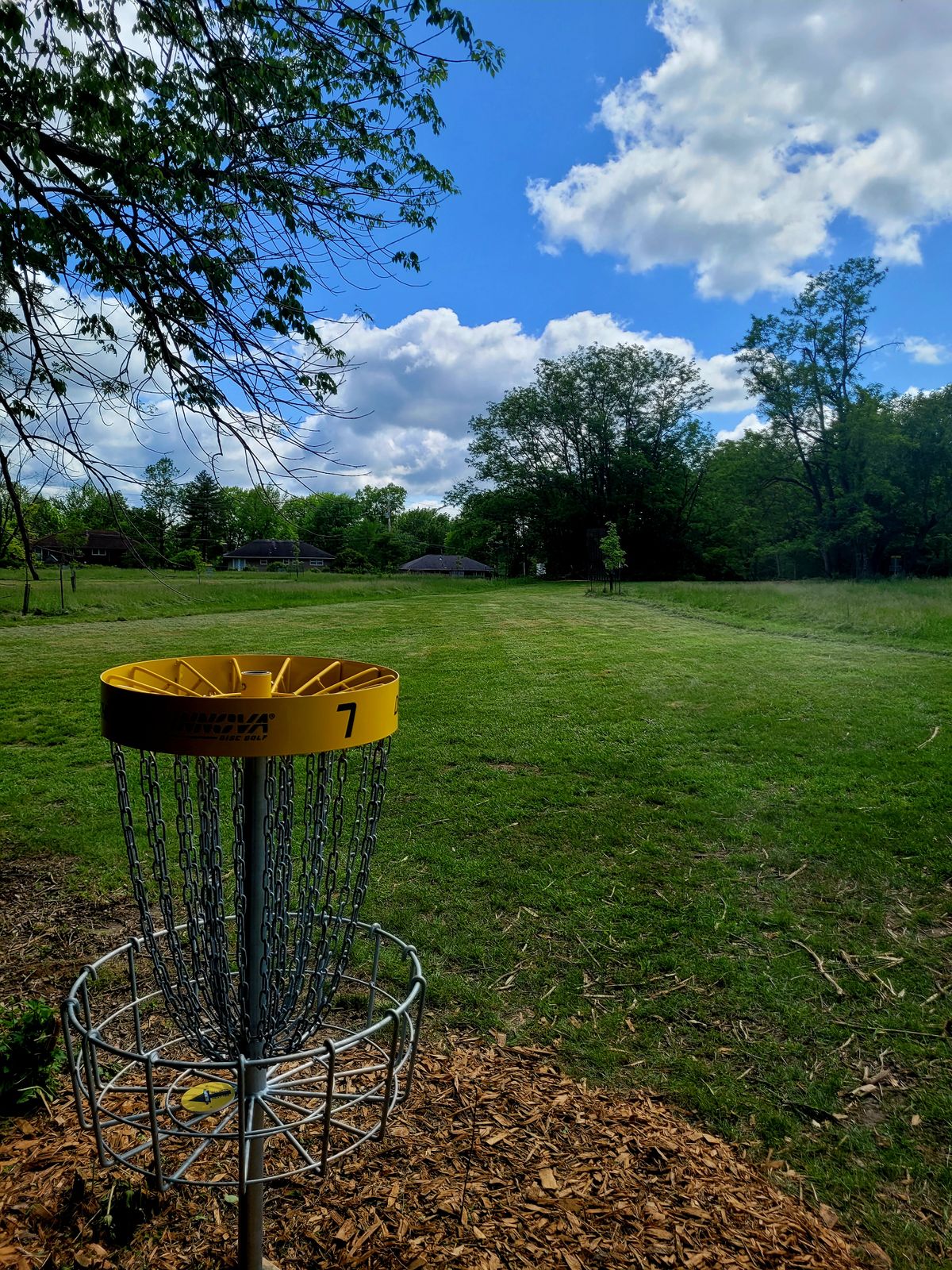 Hole 7
Basket to Tee