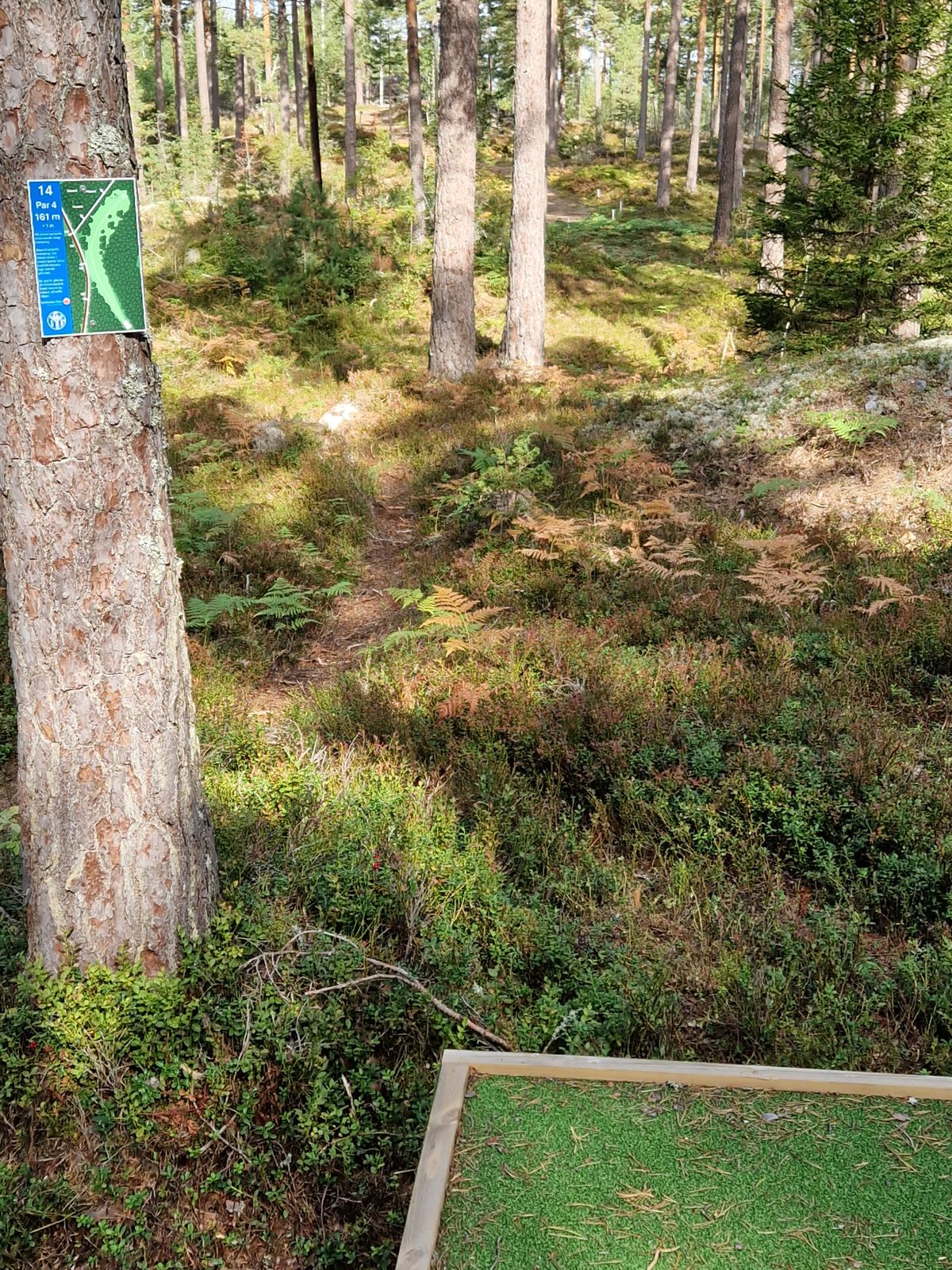 Hål 14
