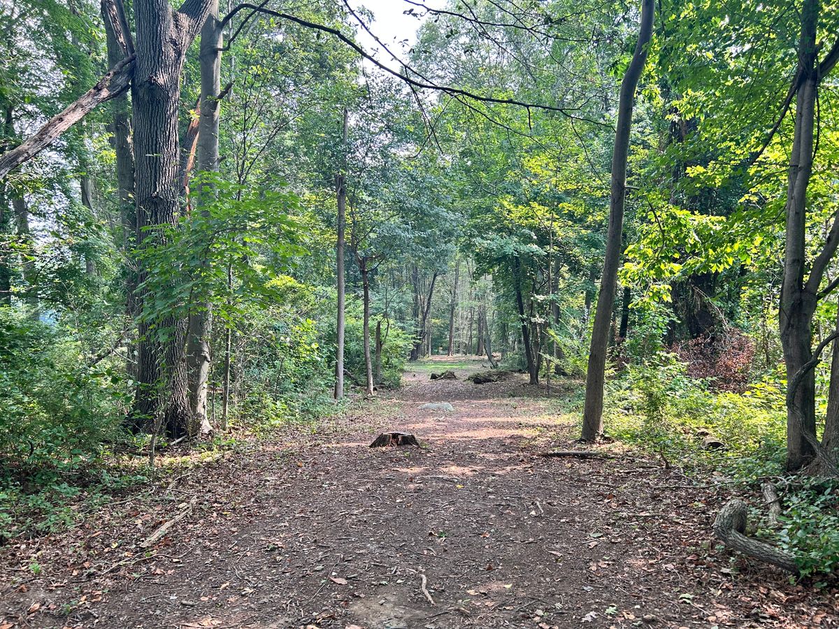 Hole 5