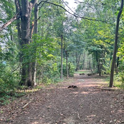 Hole 5