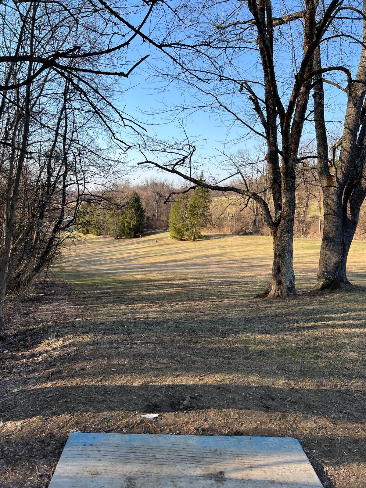 Hole 6 - Blues