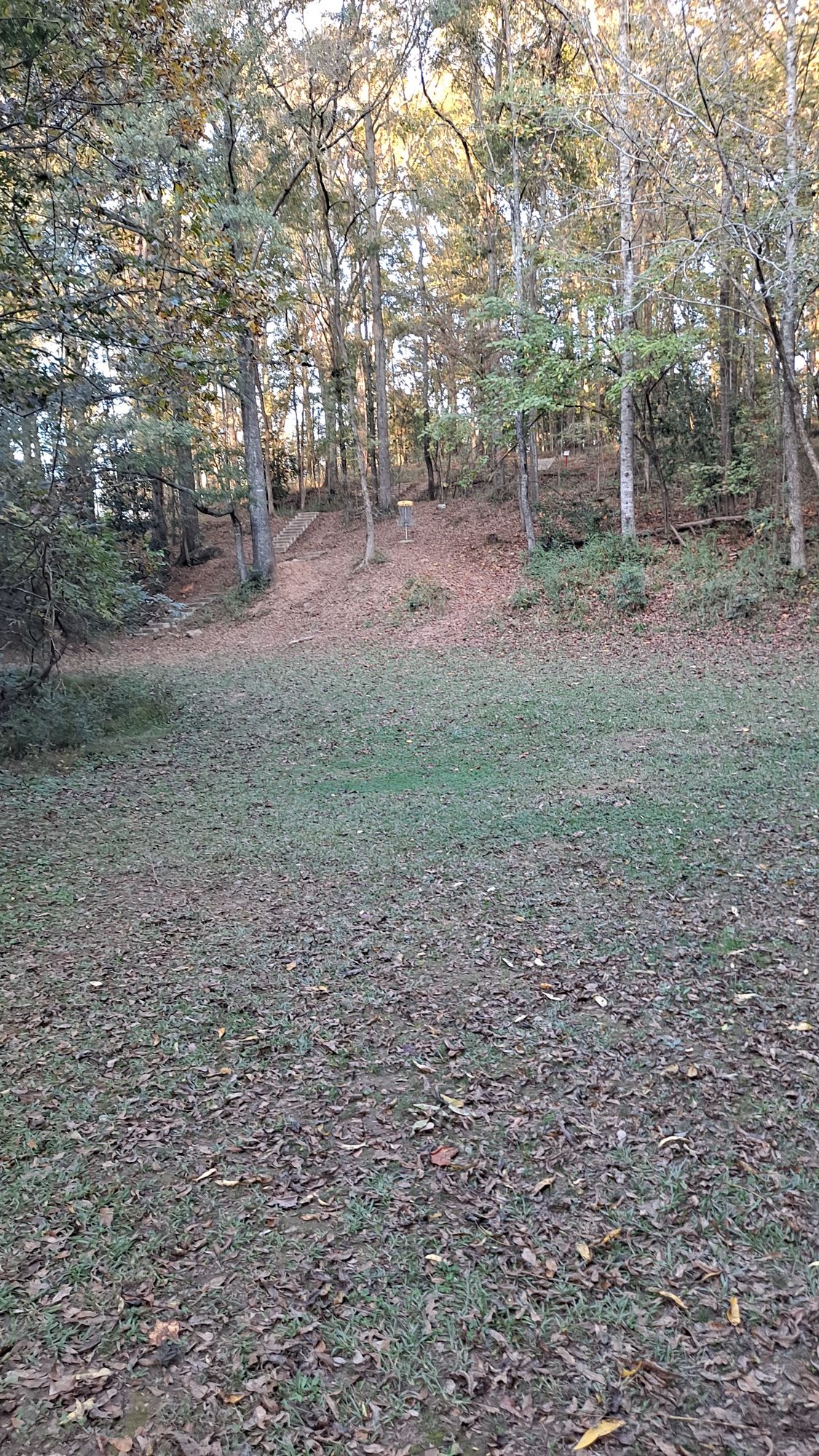 #16 short approach