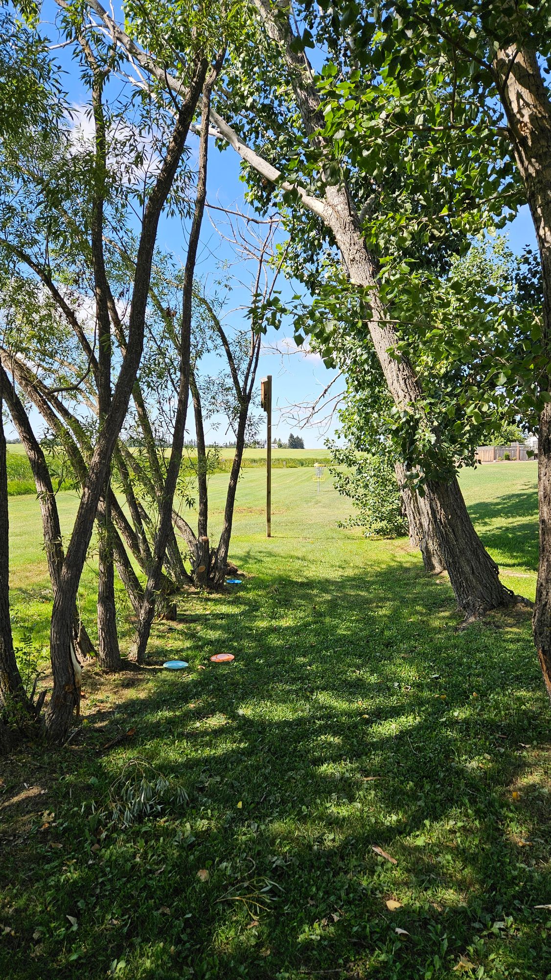 Hole 2 Fairway