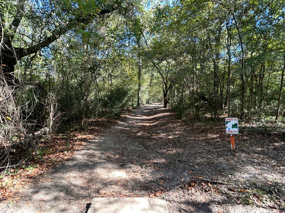 Hole 12 Fairway