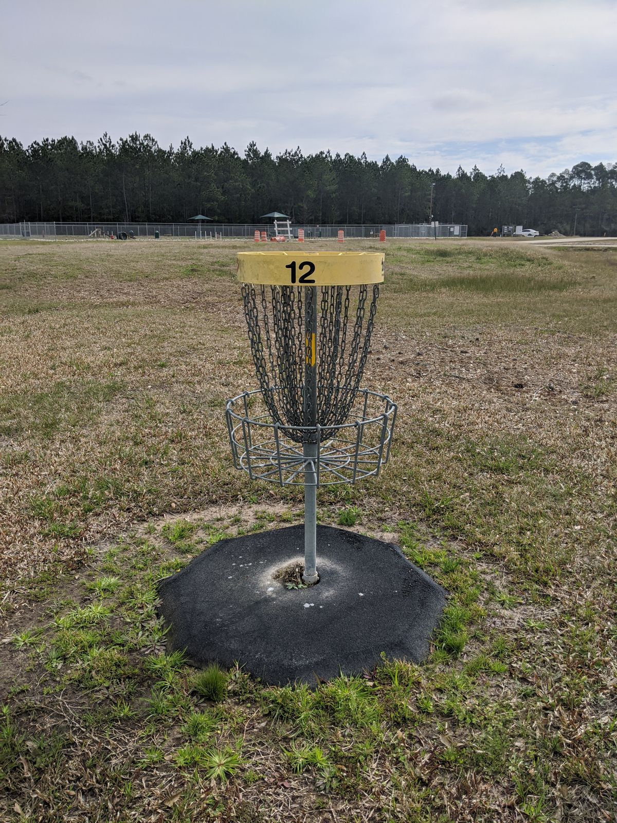 Hole 12 Basket