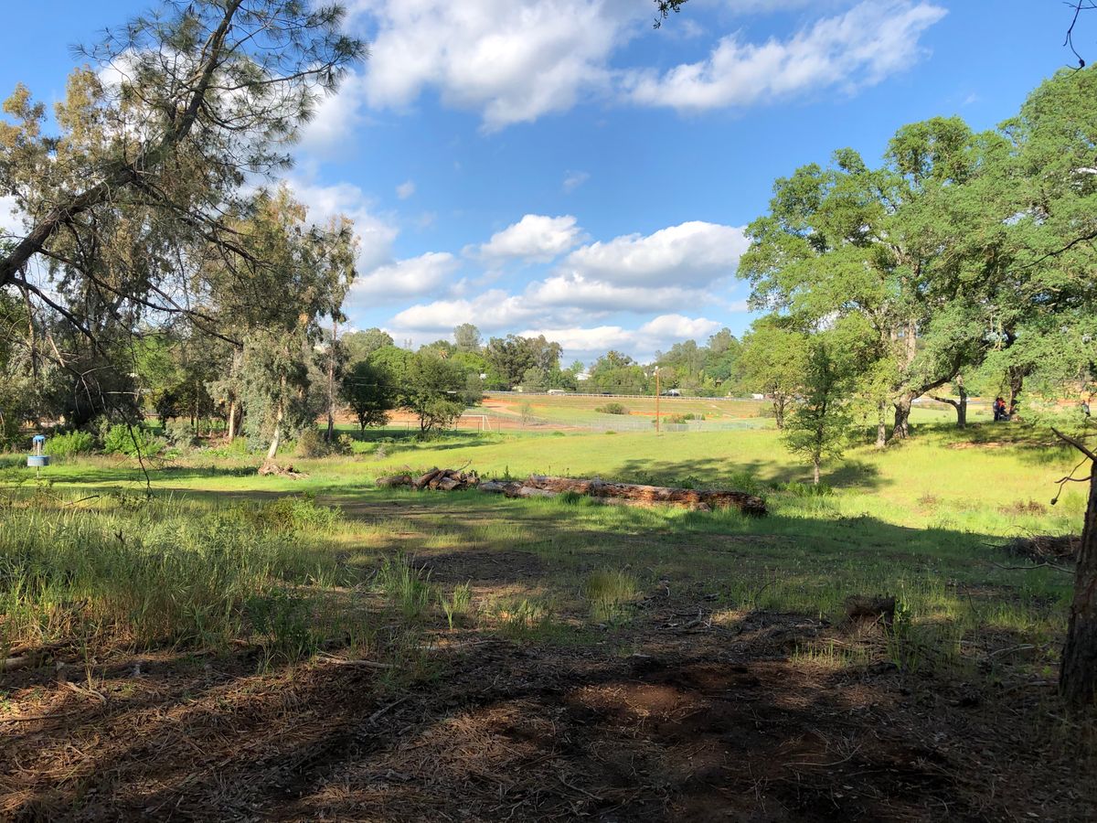 Hole 9