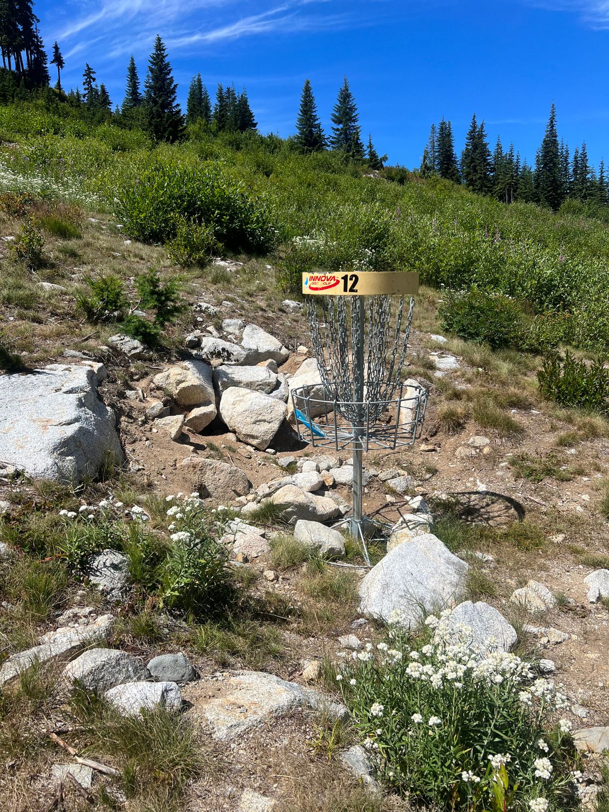 Hole 12 basket
