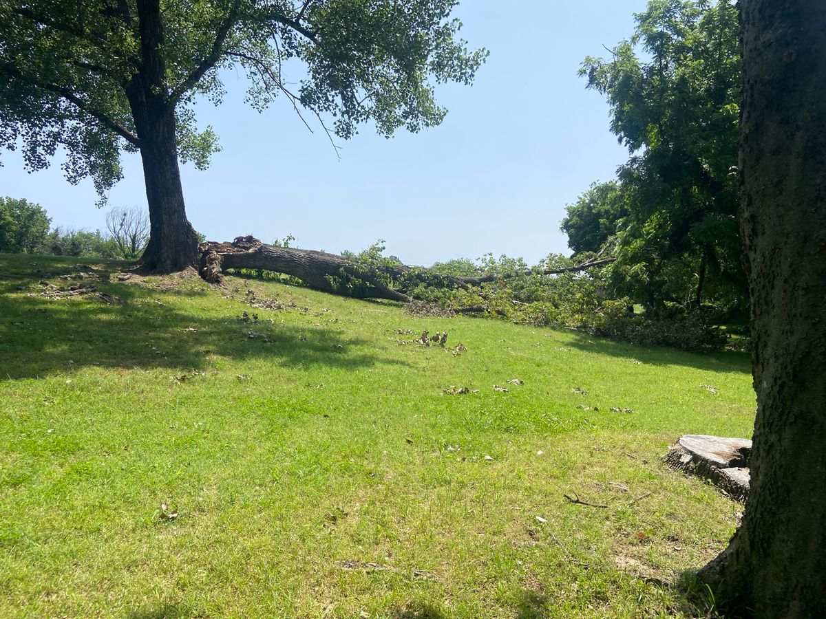 Site of #7 basket