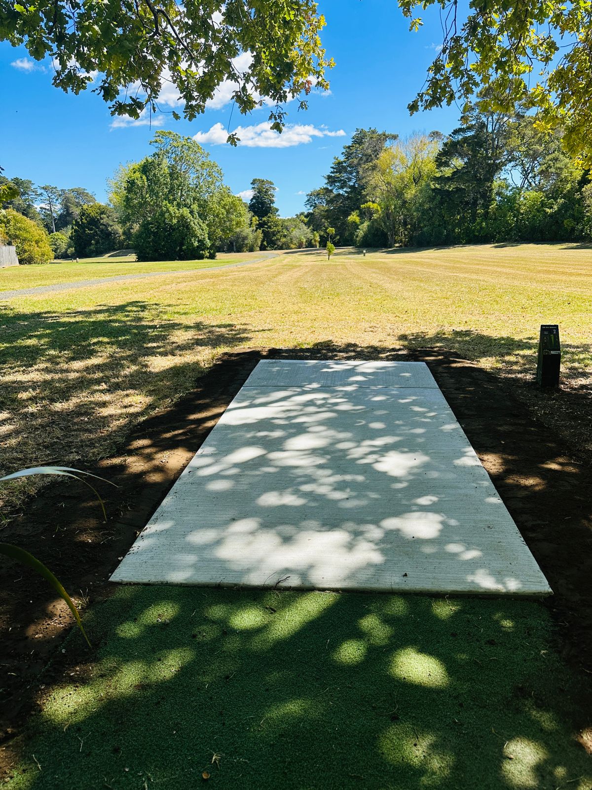 Disc Shop NZ custom tee pad upgrade 2025