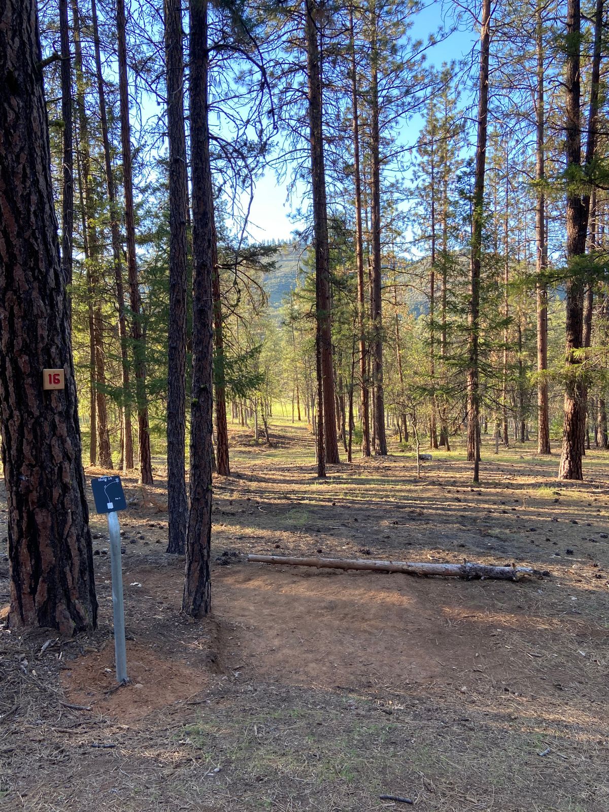 Hole #16