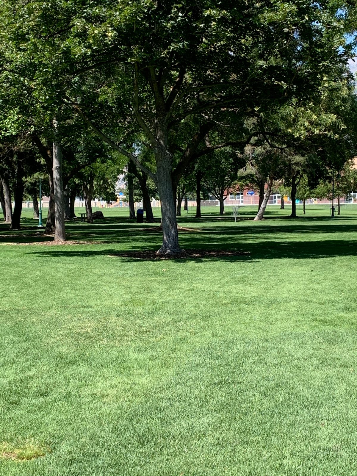 Hole one basket from the tee