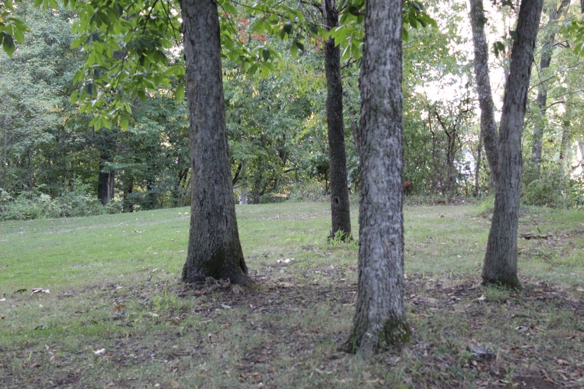 Hole 6 (Basket)