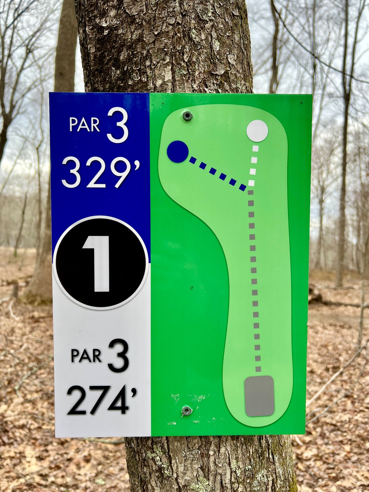 Hole #1