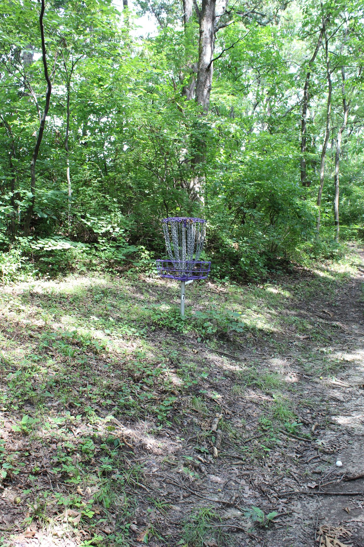 Hole 7 (Circle 1)
